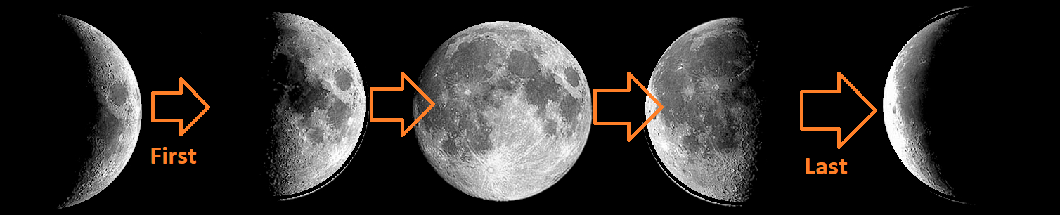 Black Shrine (Party) Guide