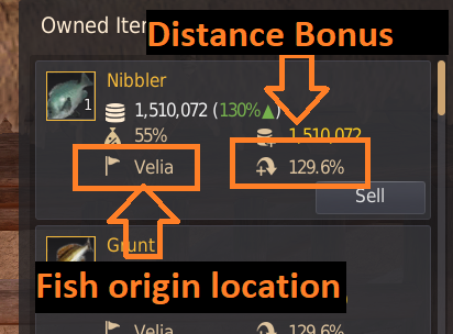 Fishing Lifeskill Guide