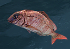 Mysteries of Summer 2020 - Walkthrough Guide